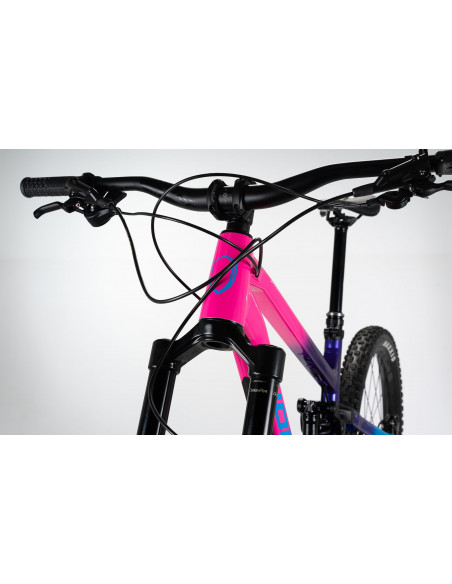 NORCO Shore A2 Purple/Yellow