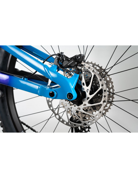 NORCO Shore A2 Purple/Yellow