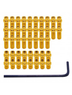 DMR Piny do Pedałów FlipPin