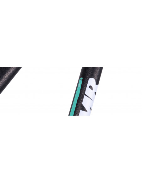 DMR Rama Sect 26 - Cosmic Black