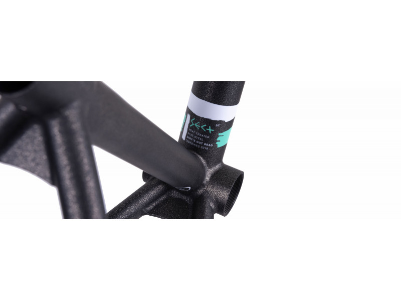 DMR Rama Sect 26 - Cosmic Black