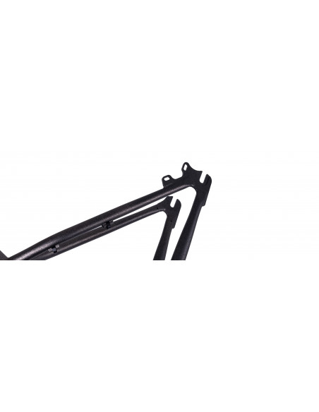 DMR Rama Sect 26 - Cosmic Black