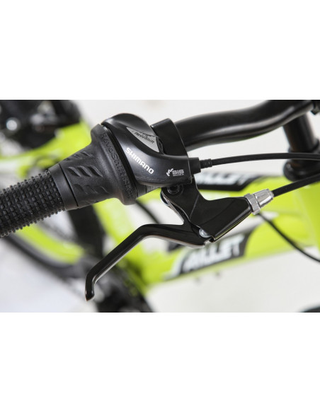 AMULET 20 FUN 2022 light green/black