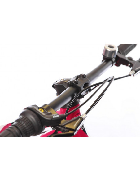 AMULET 20 FUN 2022 pink/black