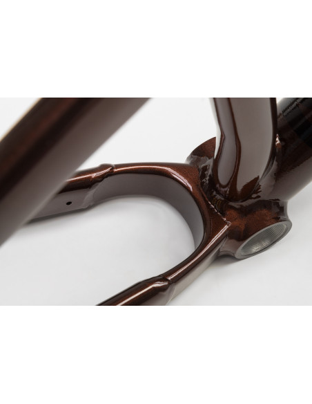 NS BIKES Rama DECADE V2 - 2024 Chocolate