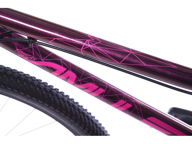 AMULET 24 FUN 2022 mint/dark violet