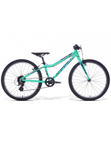 AMULET 24 FUN 2022 blue/light green