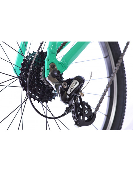 AMULET 24 FUN 2022 blue/light green