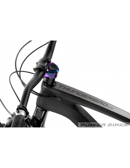 DARTMOOR Thunderbird Superenduro CF Evo 29 2022