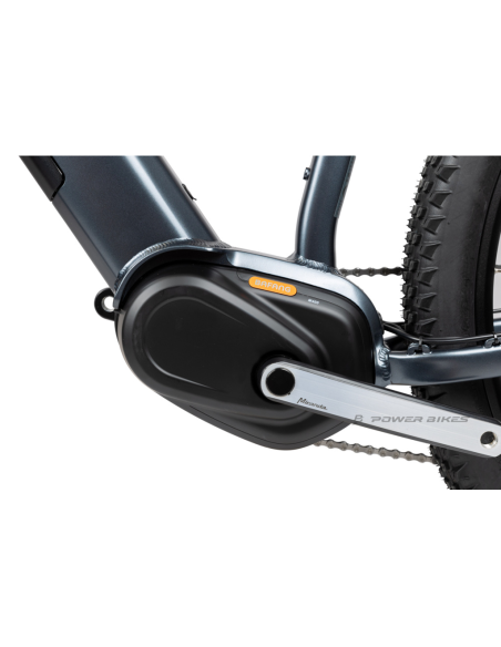 PELLS Rower elektryczny THORR 2 Grey